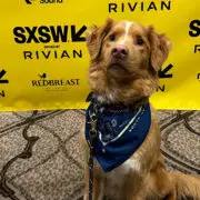 SXSW Film Festival 2025 Interviews For GOOD BOY