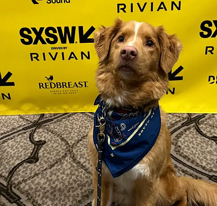SXSW Film Festival 2025 Interviews For GOOD BOY
