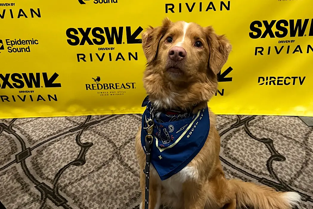 SXSW Film Festival 2025 Interviews For GOOD BOY