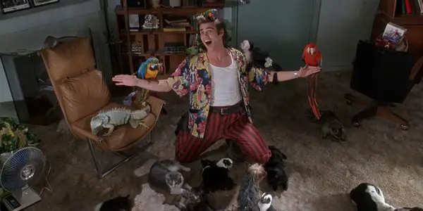 Actor Profile: Jim Carrey Actor Profile: Jim Carrey